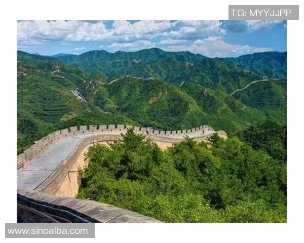 足球长城的崛起与发展探秘：从历史到未来的全景视角