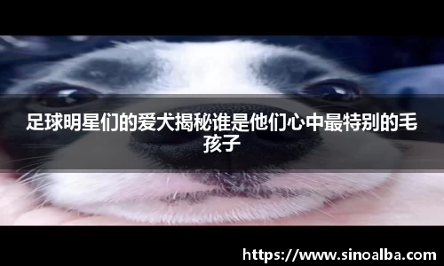 足球明星们的爱犬揭秘谁是他们心中最特别的毛孩子